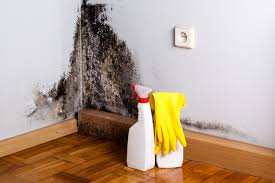 Reliable Woodcrest, CA Mold Inspection Solutions